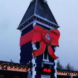 2011 Icon