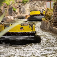 IMG_8429 IMG_8429