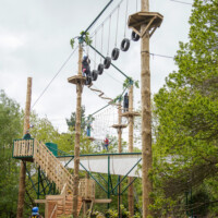 treetopquest-5 treetopquest-5