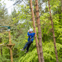 treetopquest-9 treetopquest-9