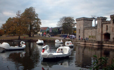 swans2 swans2