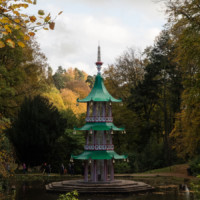 20171104_dscn1410_tom 20171104_dscn1410_tom