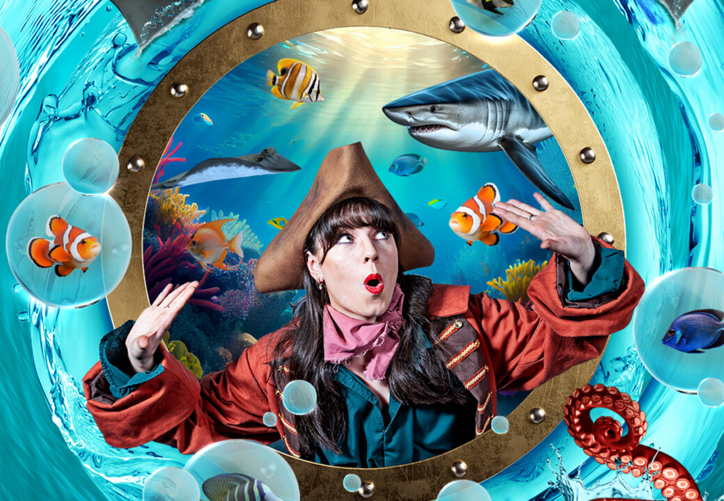 febhalfterm24-sharkbaitreef febhalfterm24-sharkbaitreef